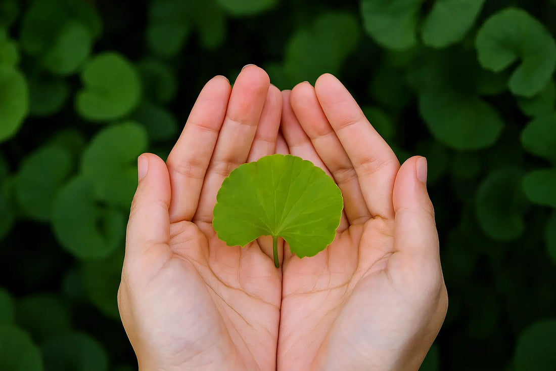 Cuando lo natural no es orgánico en la Alta Cosmética