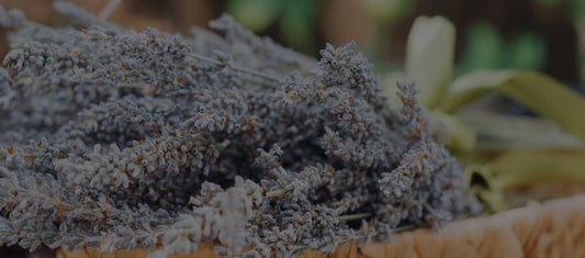 Dried lavender flowers in a woven basket with a blurred natural background