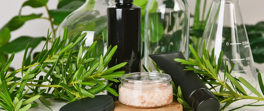 Cosmetic bottles and a jar with green leaves in the background
